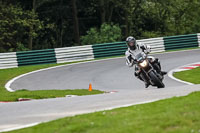 Lower Group Black Bikes